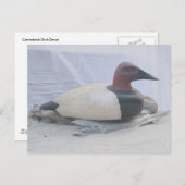 Carte postale Canvasback Duck Decoy (Devant / Derrière)