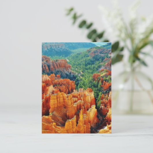 Carte Postale Canyon (Debout devant)