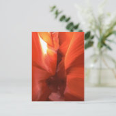 Carte Postale Canyon à équipage (Debout devant)