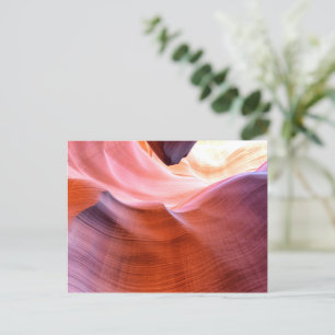Carte Postale Canyon Antelope