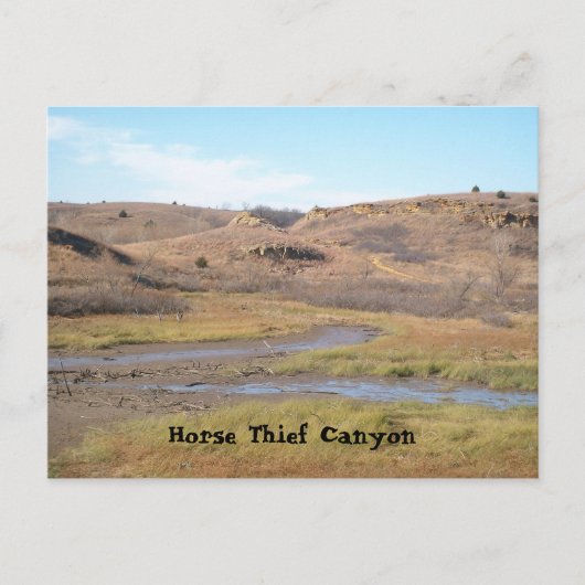 Carte Postale Canyon Cheval Thief (Devant)