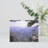 Carte Postale Canyon de cuivre (Debout devant)