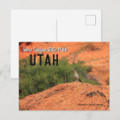 Carte Postale Canyon de neige coureur de route Utah (Devant / Derrière)