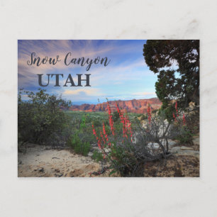 Carte Postale Canyon de neige Utah Fleur sauvage