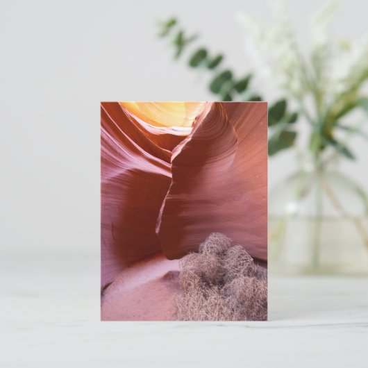 Carte Postale Canyon de nombreuses couleurs (Debout devant)