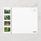 Carte Postale Canyon d'Oak Creek (Dos)