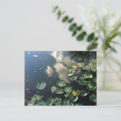 Carte postale Canyon Lakes (Debout devant)