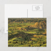 Carte Postale Canyon peint après la tempête à Theodore Roosevelt (Devant / Derrière)