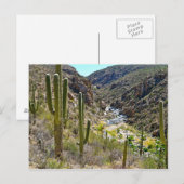 Carte Postale Canyon Tanque Verde (Devant / Derrière)