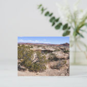 Carte Postale Canyonlands Vue depuis le sentier Cave Springs (Debout devant)