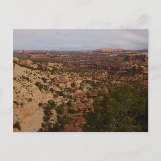 Carte Postale Canyonlands Vue depuis le sentier Neck Springs (Devant)