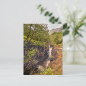 Carte Postale Canyons River Coe (Debout devant)