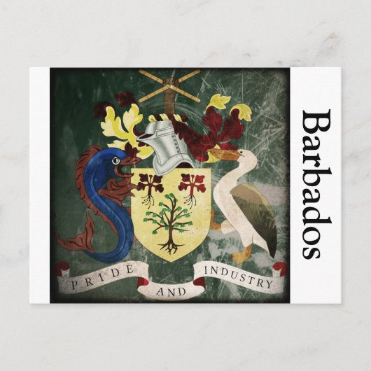 Carte Postale CAO de Barbade stylisée (Devant)