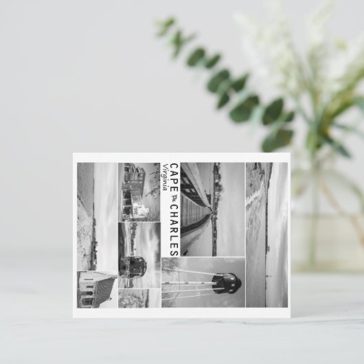 Carte Postale Cap Charles. (Debout devant)