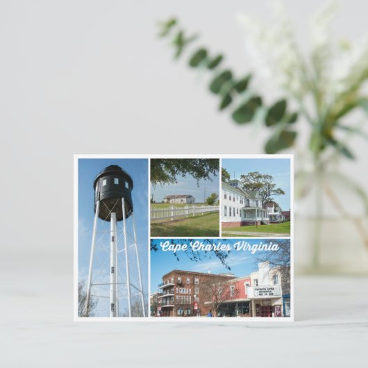 Carte Postale Cap Charles. (Debout devant)