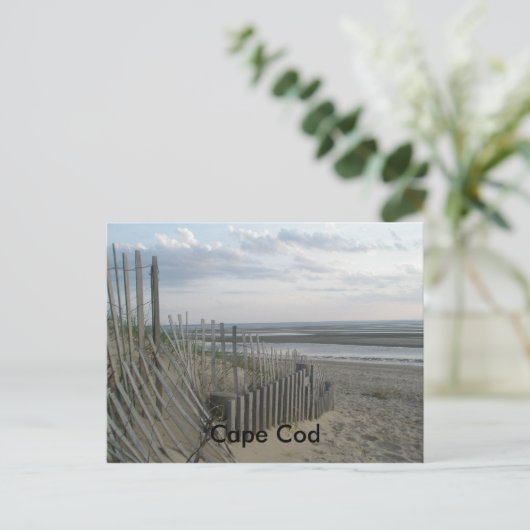 Carte Postale Cap Cod (Debout devant)