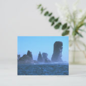 Carte Postale Cap Flattery (Debout devant)