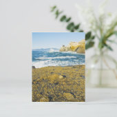 Carte Postale Cap Kiwanda Et Océan Pacifique (Debout devant)