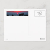 Carte Postale Cap May Sunset (Dos)