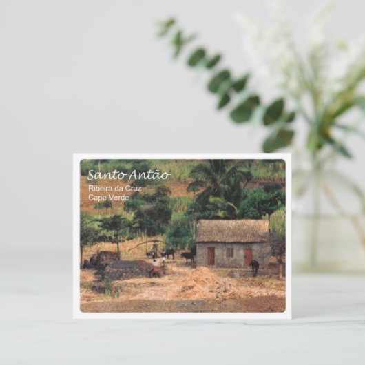 Carte Postale Cap-Vert - Santo Antao - (Debout devant)