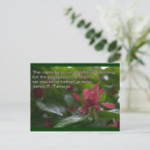 Carte Postale capacité d'être reconnaissant (Debout devant)