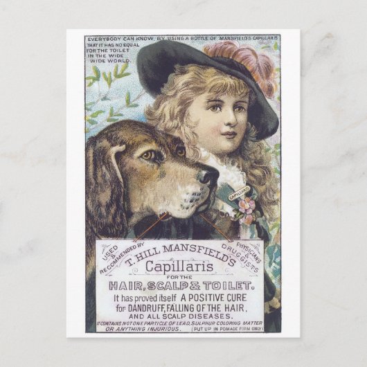 Carte Postale Capallaris de Mansfield (Devant)