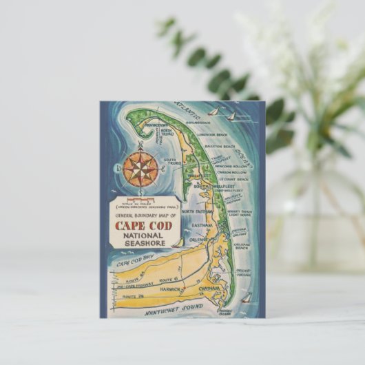 Carte Postale Cape Cod (Debout devant)