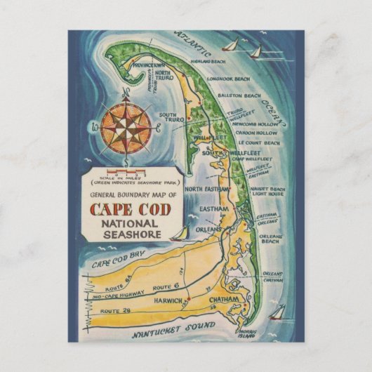 Carte Postale Cape Cod (Devant)