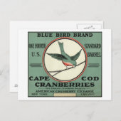 Carte Postale Cape Cod Blue Bird Brand Cranberry Étiquette (Devant / Derrière)