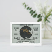 Carte Postale Cape Cod Chipmunk Marque Cranberry Étiquette (Debout devant)