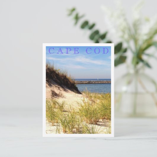 Carte Postale Cape Cod Dune (Debout devant)