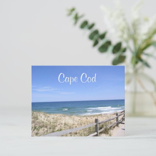 Carte Postale Cape Cod Mass Dunes Beach Ocean Post Card (Debout devant)