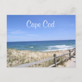 Carte Postale Cape Cod Mass Dunes Beach Ocean Post Card (Devant)
