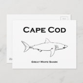 Carte Postale Cape Cod Massachusetts Great White Shark Logo (Devant / Derrière)