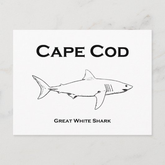 Carte Postale Cape Cod Massachusetts Great White Shark Logo (Devant)