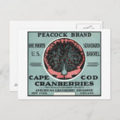 Carte Postale Cape Cod Peacock Marque Cranberry Étiquette (Devant / Derrière)