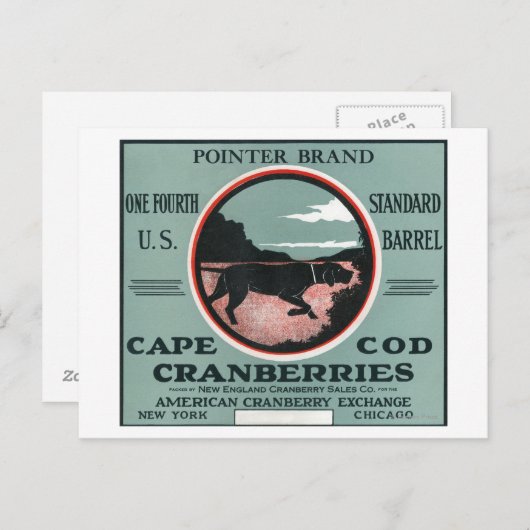 Carte Postale Cape Cod Pointer Marque Cranberry Étiquette (Devant / Derrière)