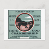 Carte Postale Cape Cod Pointer Marque Cranberry Étiquette (Devant)