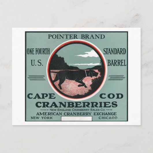 Carte Postale Cape Cod Pointer Marque Cranberry Étiquette (Devant)
