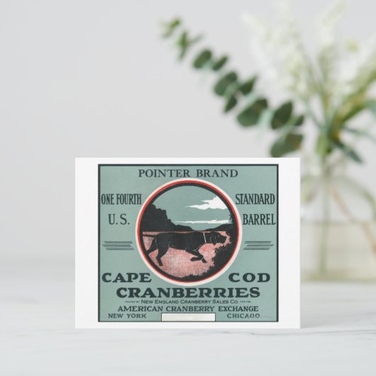 Carte Postale Cape Cod Pointer Marque Cranberry Étiquette (Debout devant)