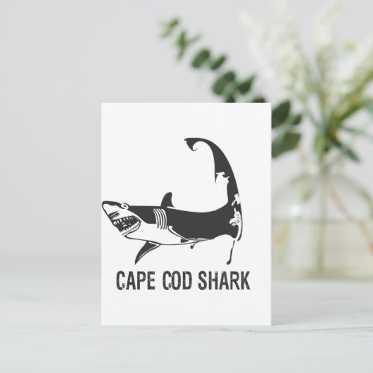 CARTE POSTALE CAPE COD SHARK (Debout devant)
