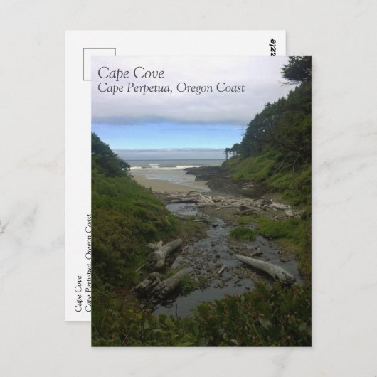 Carte Postale Cape Cove, Cape Perpetua, Oregon (Devant / Derrière)