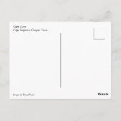 Carte Postale Cape Cove, Cape Perpetua, Oregon (Dos)