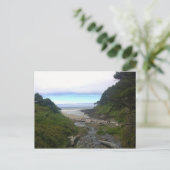 Carte Postale Cape Cove, Cape Perpetua, Oregon (Debout devant)