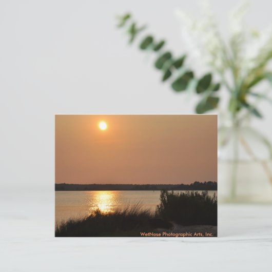 Carte Postale Cape Fear (Debout devant)