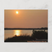 Carte Postale Cape Fear (Devant)