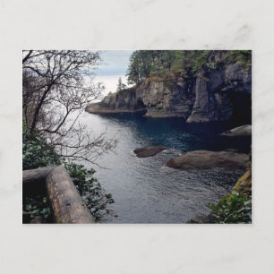 Carte Postale Cape Flattery Olympic Peninsula - Washington