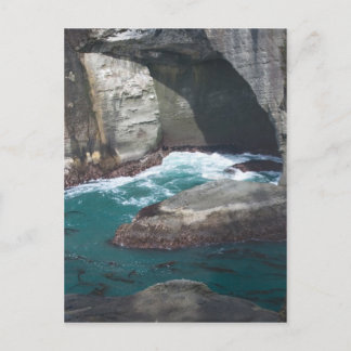 Carte Postale Cape Flattery Washington State