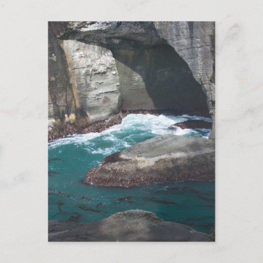 Carte Postale Cape Flattery Washington State (Devant)