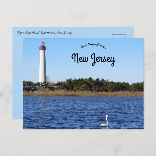 Carte Postale Cape May Point Lighthouse New Jersey (Devant / Derrière)
